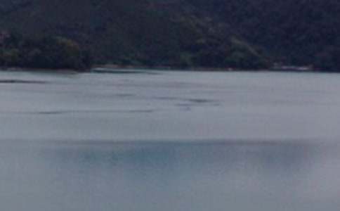 �茑(xi��)�_(t��i)��������̶���ģ����x28ƪ��