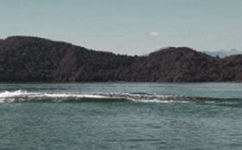 2015���꼉(j��)��(c��)����̶�̌W(xu��)��˼