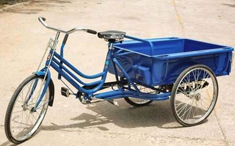 弟弟的小三輪車作文