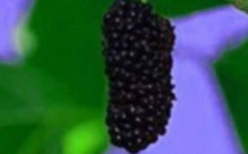 ժɣ������300��6ƪ