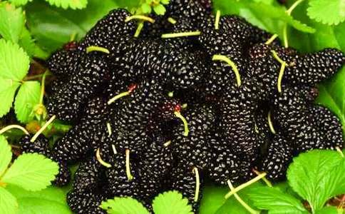 �ϼҵ�ɣ�ؘ�(sh��)���ģ�ͨ��27ƪ��