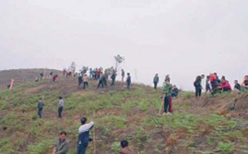 ������Ĺ���ľ��x9ƪ