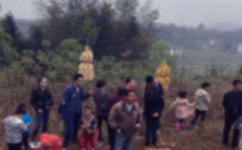 去掃墓作文600字5篇