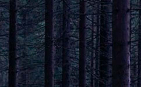 ���Pɭ��ͯԒС�W�����\��9ƪ