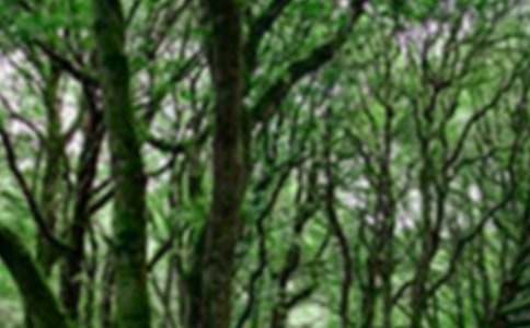 ɭ�ִ��(hu��)ͯԒ����400�֣����x44ƪ��