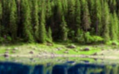 山水的挫折作文2篇