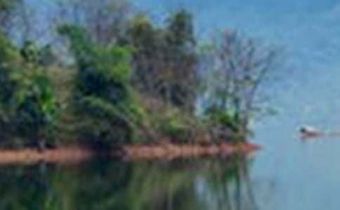 ���P��ɽˮ���~�Z