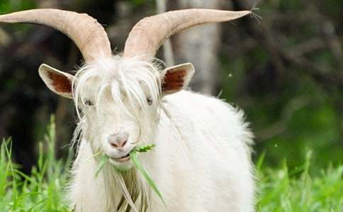 Сɽ���������