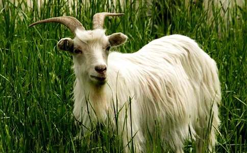 ɽ���c������3ƪ