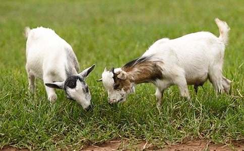 ɽ��������ģ����x24ƪ��