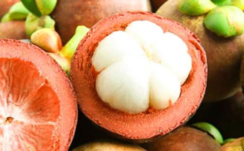 ɽ�����������2ƪ