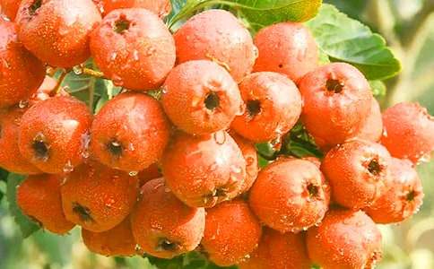 ���c�ҵ�ɽ高����ģ����x17ƪ��