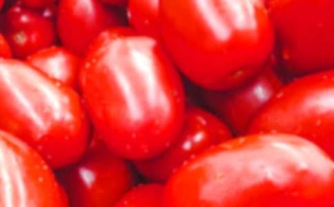 介紹圣女果的敘事作文500字