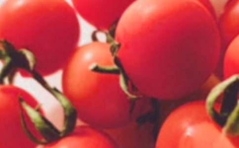 圣女果作文500字(通用15篇)