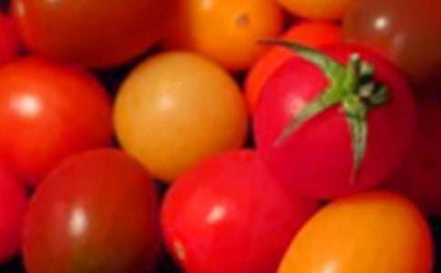 ʥŮ���ĠI(y��ng)�B(y��ng)�r(ji��)ֵ