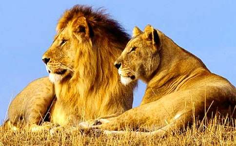 �ҵĪ{�Ӱְ�����