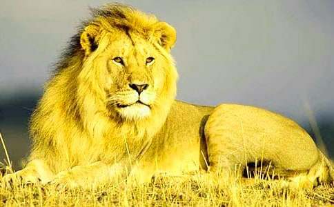 �{��ͯԒ����300�֣����x31ƪ��