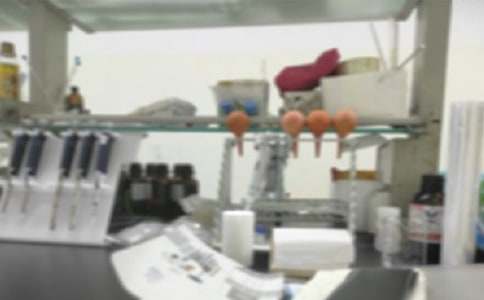 �P(gu��n)�����M(j��n)���������1500�����x��