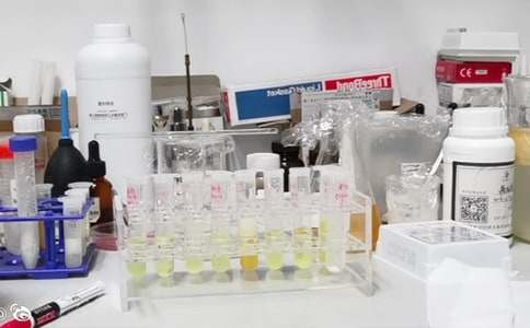 走進(jìn)實(shí)驗(yàn)室征文范文