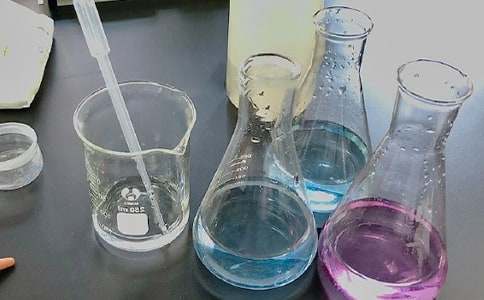 實驗室中的魚作文