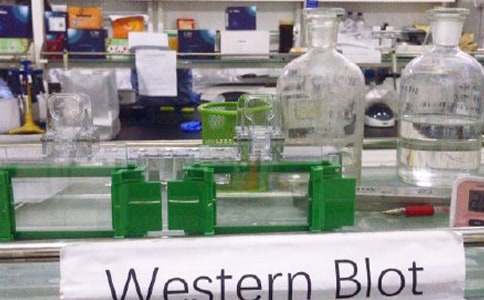 ���W(xu��)��(sh��)�(y��n)�Ұ��w����