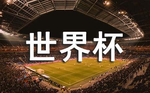 世界杯之超級幻想優(yōu)秀作文900字