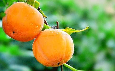 ���l(xi��ng)����������400�֣�ͨ��40ƪ��