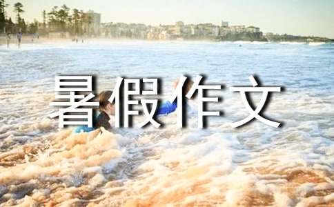 我打算這樣過暑假作文(精選41篇)