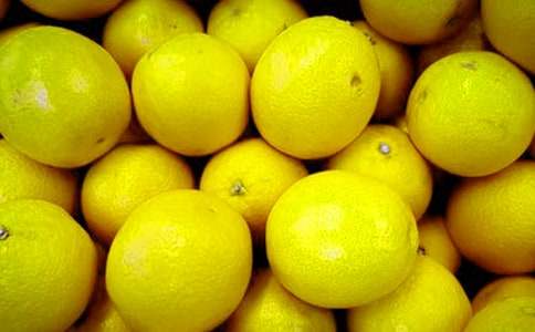 水果童話的作文6篇