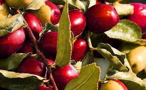 ���xˮ��ͯԒ������4ƪ