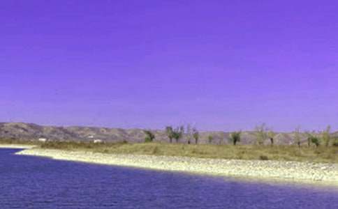 游水庫作文300字