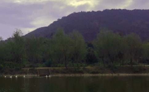 ������̫��ˮ������2ƪ