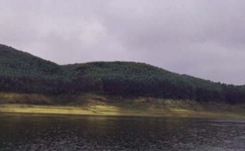 ˮ������600�֣����x39ƪ��