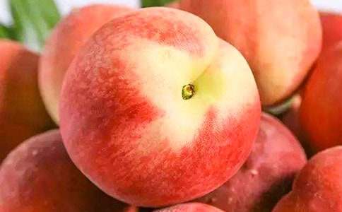 ���l(xi��ng)��ˮ����С�W���꼉����400��