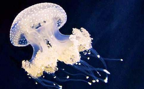 �^��ˮĸ����