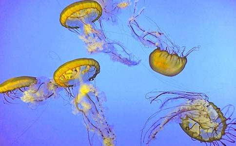 �^��ˮĸ������(���x4ƪ)