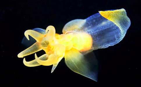 ˮĸ����400�ְ�ƪ