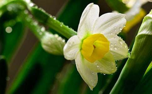 ����?l��i)?��i)�Ļ�����ˮ������