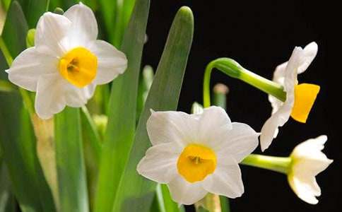 ����ˮ������15ƪ