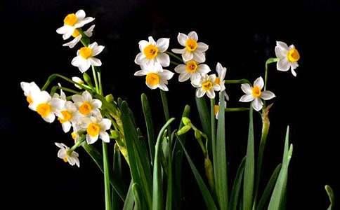 ˮ������400����ƪ