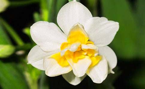 ��ˮ�ɻ����}Ŀ�����꼉����