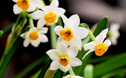 ˮ�ɻ����ģ����x25ƪ��