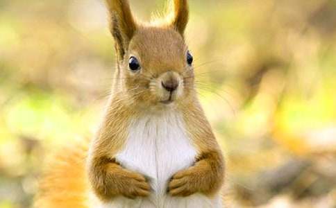 С����ͯԒ�������ļ��\��9ƪ��