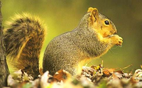 С����ͯԒ����400����ƪ