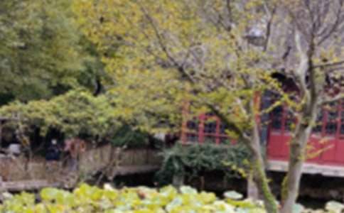 蘇州園林教案說(shuō)課稿2015