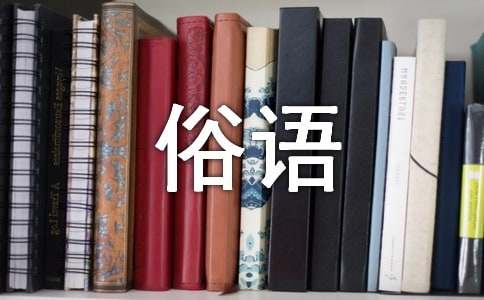 關(guān)于雞年的俗語
