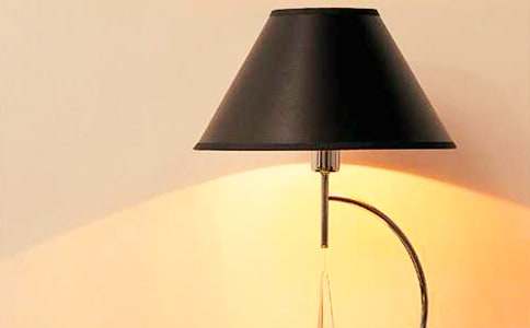 我和老爸搶臺(tái)燈作文