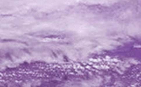 2016�_�L���R���u��(y��u)������