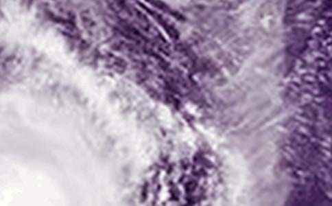 臺風(fēng)來了短篇作文