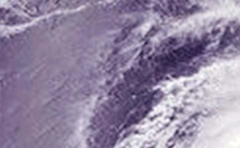 臺風(fēng)刮過好心情400字作文